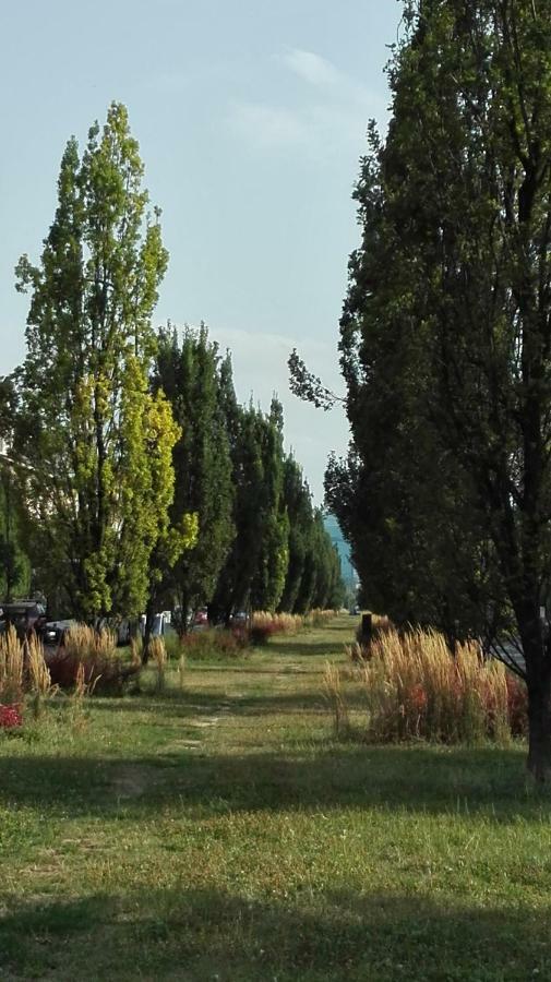 Apartament Krakowski Styl Экстерьер фото